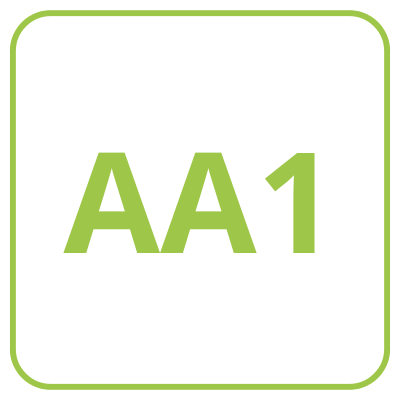 AA1